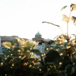 Casa Tricy *