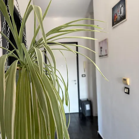 Casa Tricy * Bolonya