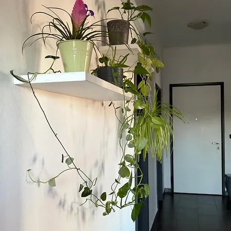 Casa Tricy Oda ve Kahvaltı *