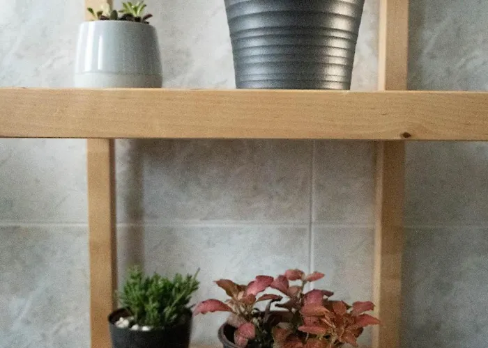 לינה וארוחת בוקר Casa Tricy