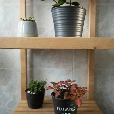 Couette-café Casa Tricy